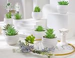 Der Rose 9Pcs Artificial Plants Small Fake Succulent Plants in Pots for Bathroom Office Desk Shelf Decor