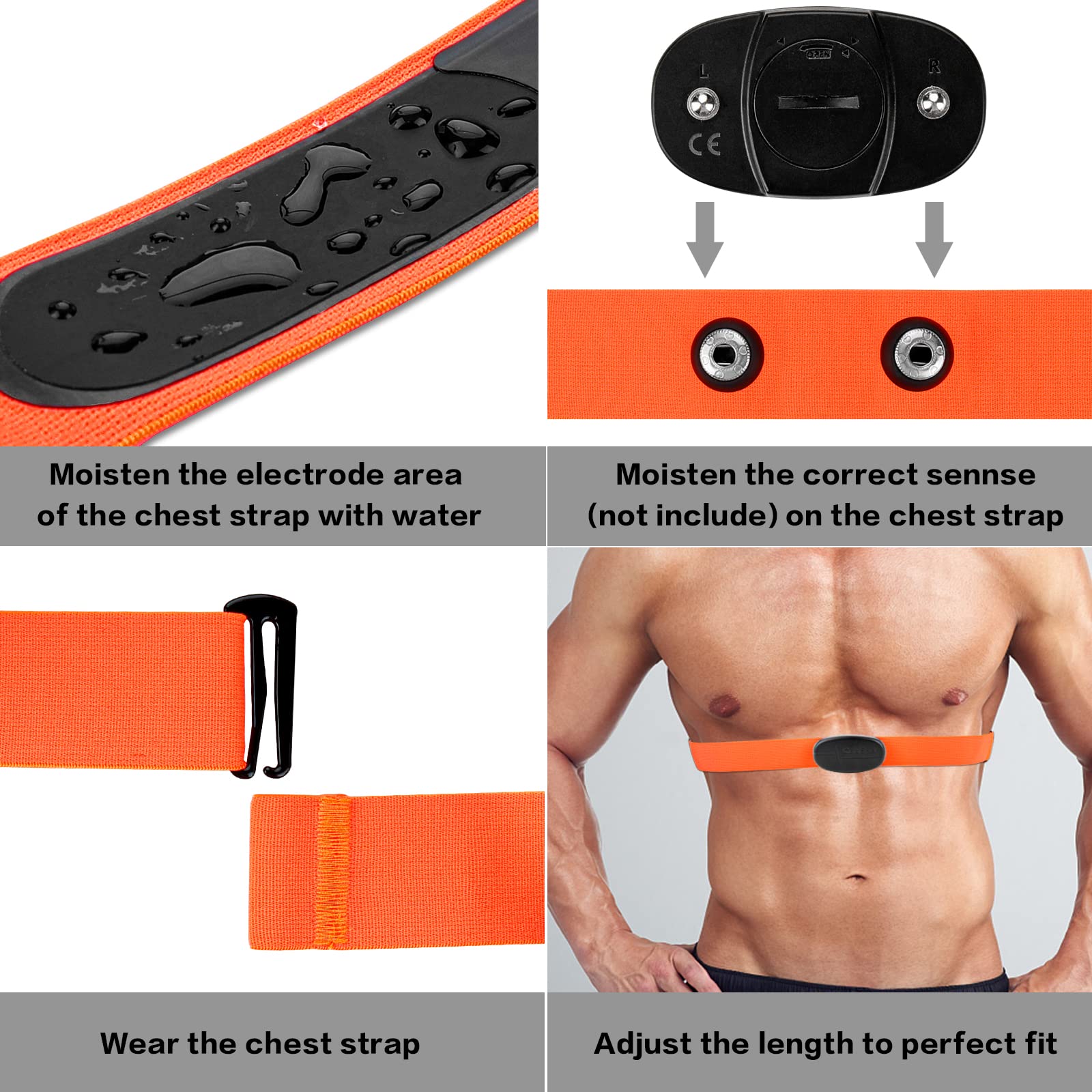 Ceinture Cardio Ceinture de Remplacement Elastique Sangle de Poitrine pour Garmin, Wahoo Sport Moniteur de Fréquence Cardiaque (Orange)