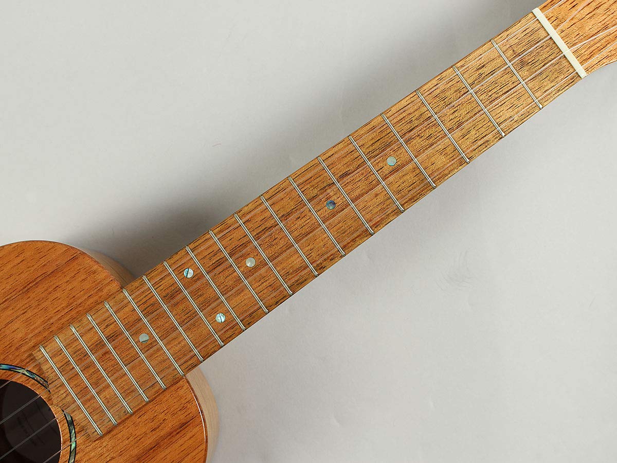 Amazon.co.jp: COTONE CS555C NAT コンサートウクレレ コトネ : 楽器 
