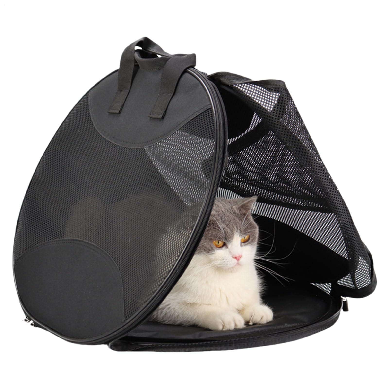 Sac de voyage pour chat anti-stress pour sécuriser les trajets quotidiens des adolescents