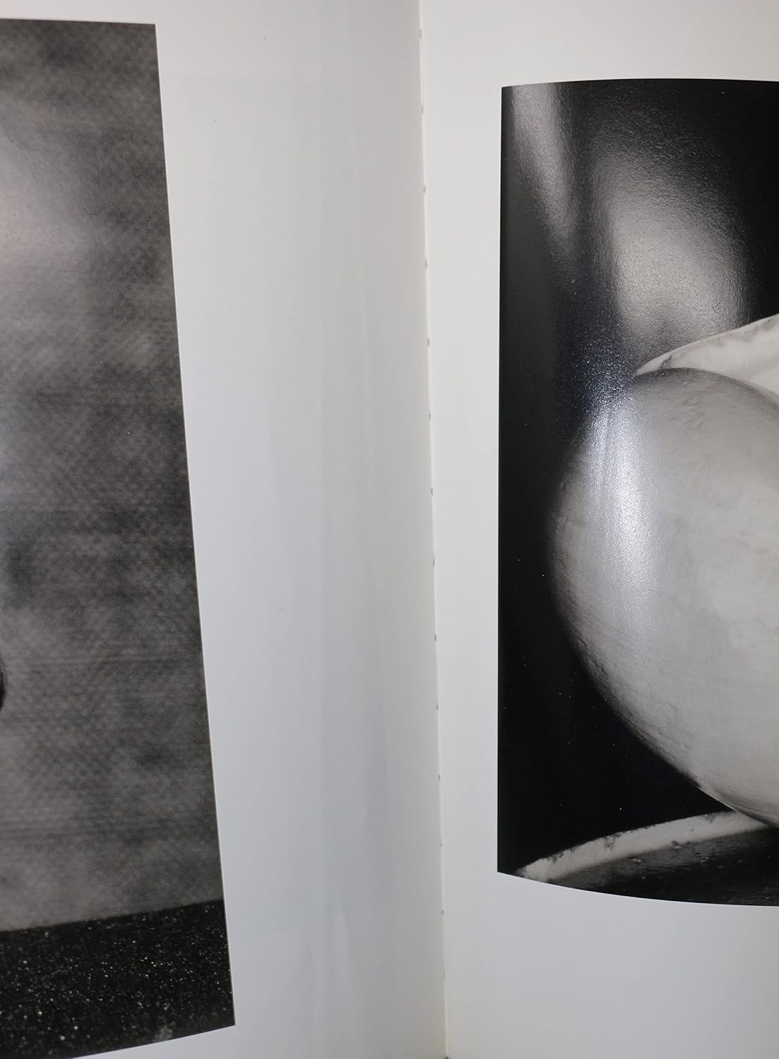 Edward Weston: A Legacy