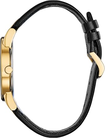 Citizen Men's Eco-Drive Modern Eco Axiom Watch