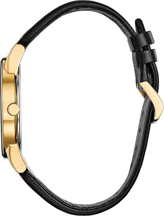 Citizen Men's Eco-Drive Modern Eco Axiom Watch