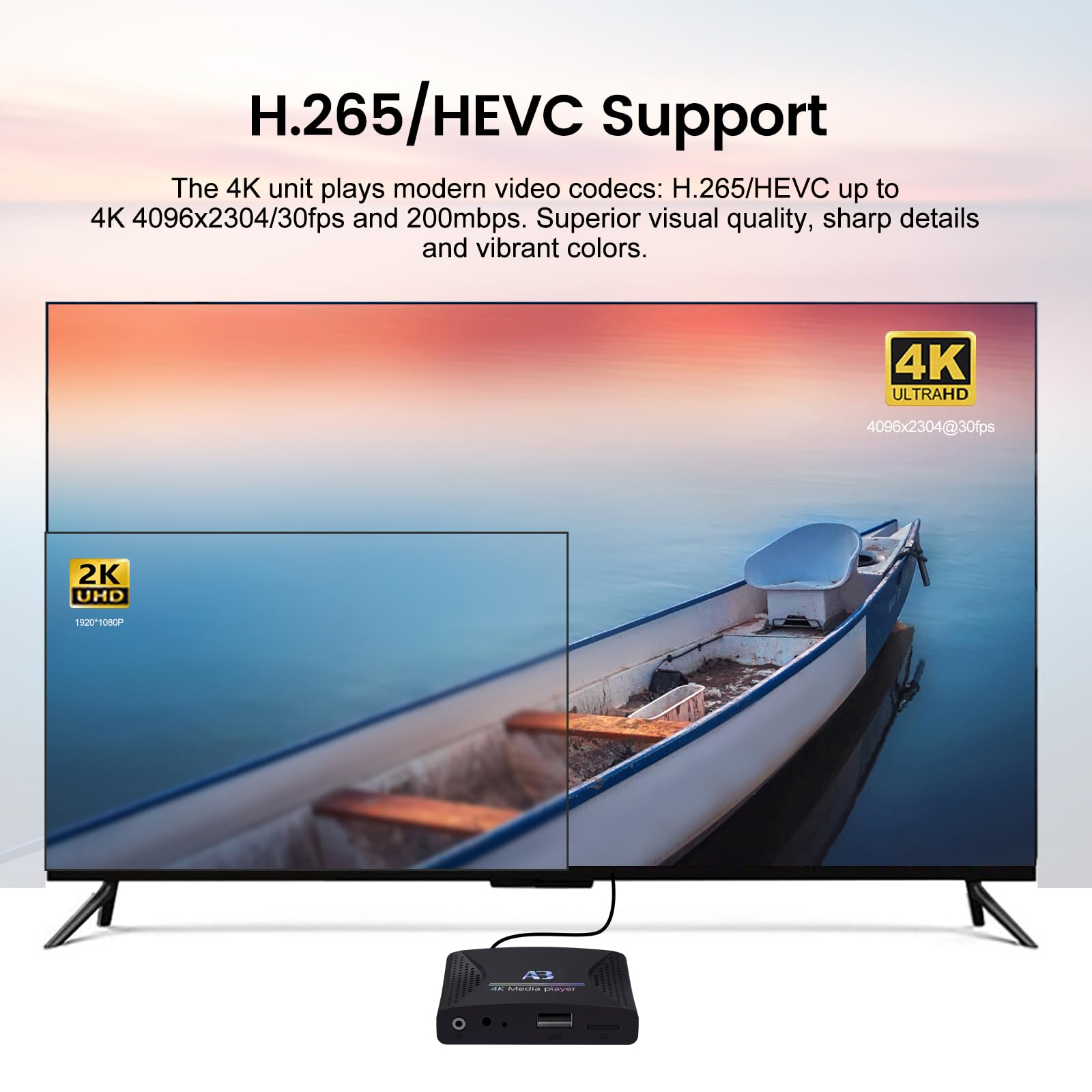 Lettore multimediale digitale 4K Ultra HD per unità USB e schede microSD, con HDMI e analogico AV, segnaletica digitale, con riproduzione automatica, ripresa e looping per video H.265, musica e foto