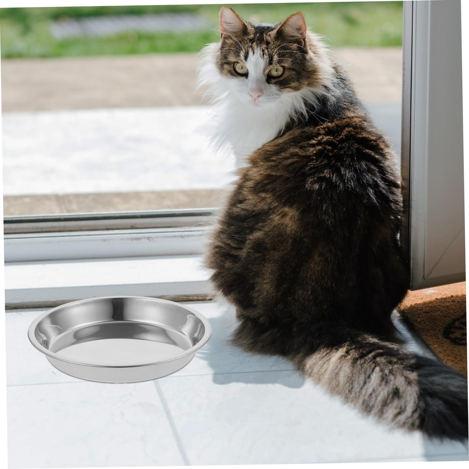 Edelstahl Katzennapf Groß, Flache Futterschale 4 Stück für Katzen