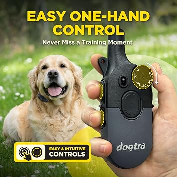 Dogtra 200iQ 2-Dog Remote Training E-Collar with Titanium Contact 1 | 1/2 Mile Range, 100 Levels, Tone & Vibration, Compact, Waterproof, One-Handed Control, Ideal for Long-Haired Dogs