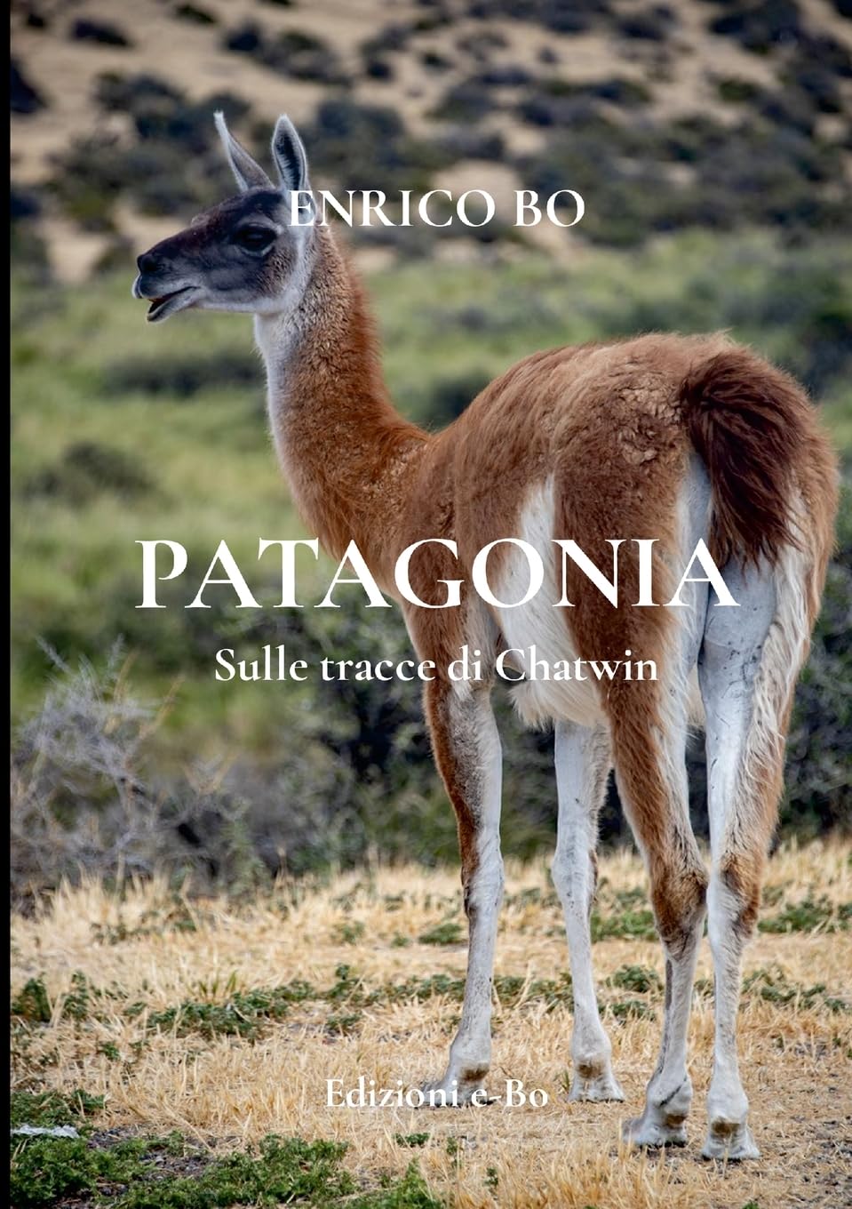 PATAGONIA - Sulle tracce di Chatwin: Sulle tracce di Chatwin