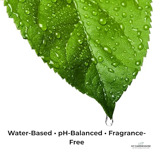 Vista 76 de Fertilizante orgánico prémium de anturio de algas marinas – Alimento líquido para plantas de algas marinas – Potenciador de suelo rico en nutrientes