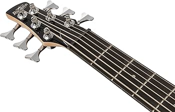 Amazon.co.jp: Ibanez(アイバニーズ) GIOシリーズ 6弦エレキベース