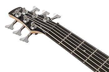 Amazon.co.jp: Ibanez(アイバニーズ) GIOシリーズ 6弦エレキ