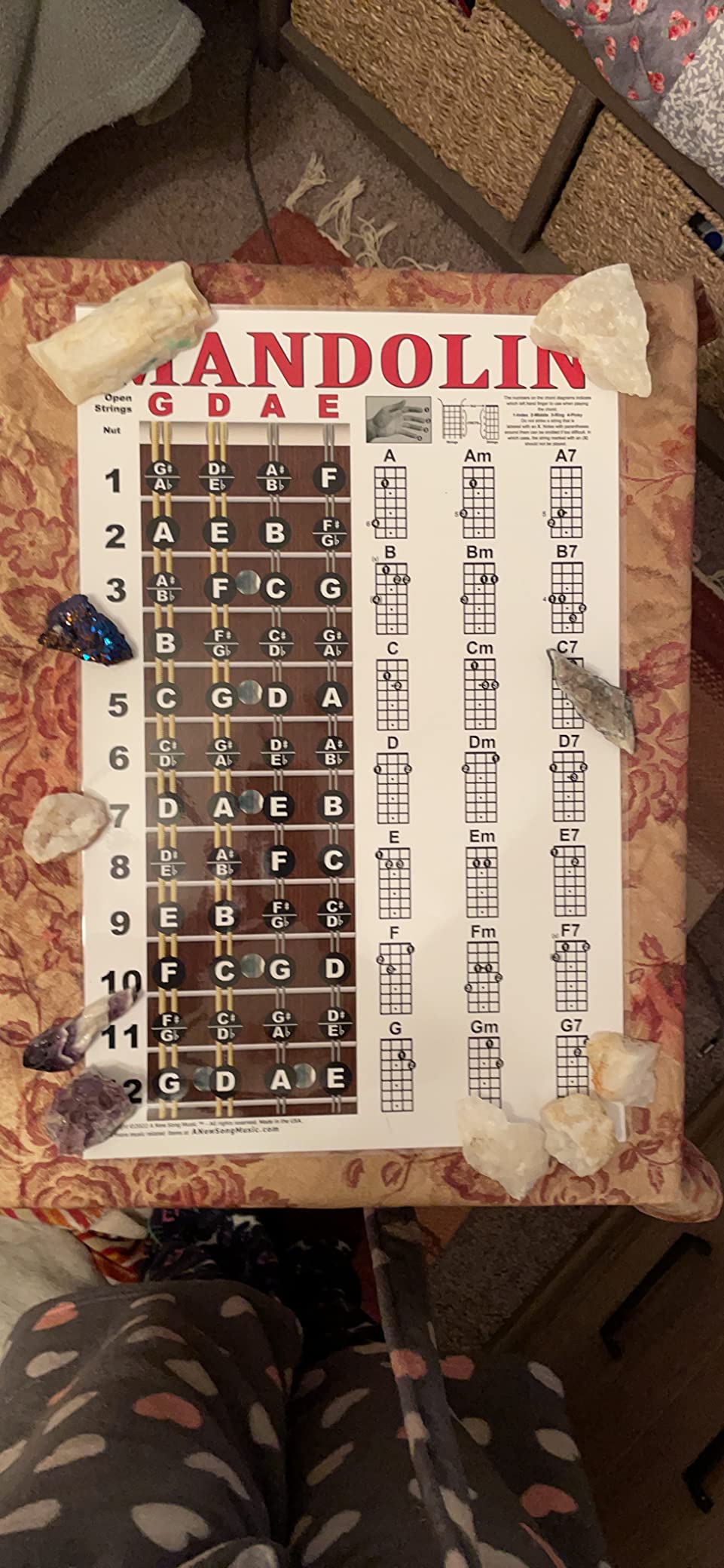 Laminated Mandolin Fretboard Notes & Easy Beginner Chord Chart 11"x17 ...