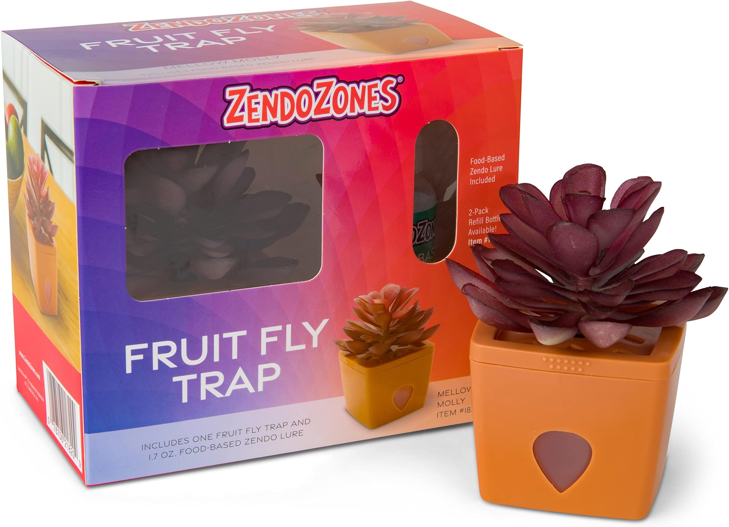 ZendoZones Succulent Fruit Fly Trap – Mellow Molly Design with Terracotta Base – Eco-Friendly Indoor Fruit Fly Control – Easy-to-Use Decorative Trap