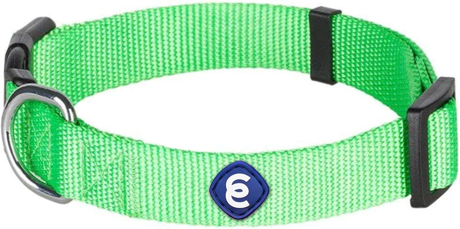 Blueberry Pet Essentials Bundle Set - Medium Neon Green Dog Collar + Chest Girth 20-26" Harness