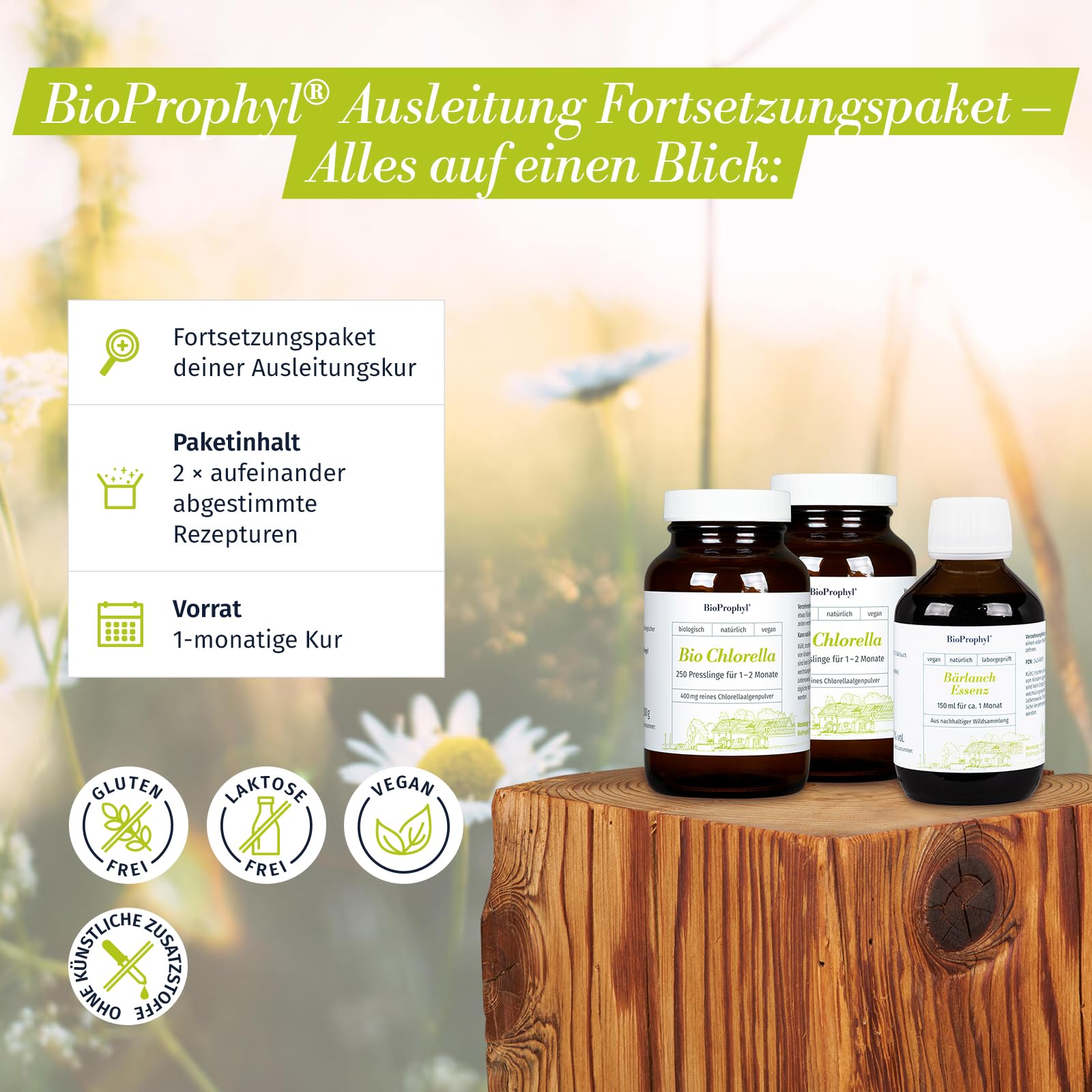 Ausleitung Fortsetzungspaket - 1x BIO Chlorella 500 + 1x Bärlauch-Essenz - rein natürlich ohne Zusätze - für einen Monat zur optimalen Fortsetzung Ihrer Ausleitungskur nach Dr. Klinghardt