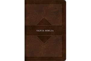 Santa Biblia - RVR 1960 Biblia De Estudio Letra Grande