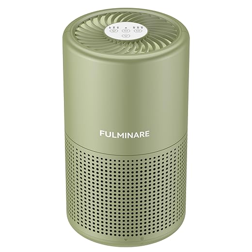 H13 HEPA Air Purifier, 3 Speeds (Sage Green) - $29.99