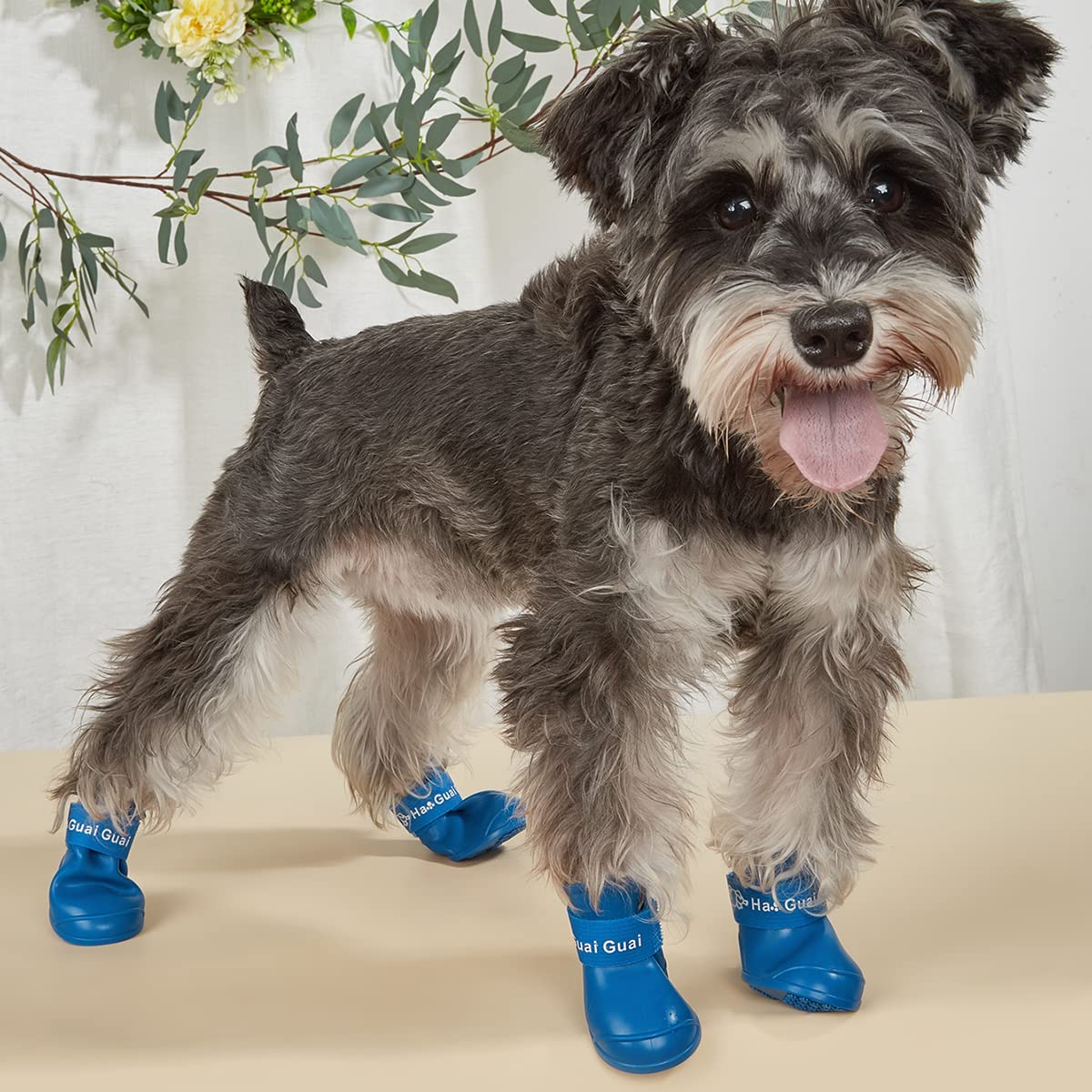 Ranphy Lot De 4 Chaussures D'été Pour Chiens De Petite Et