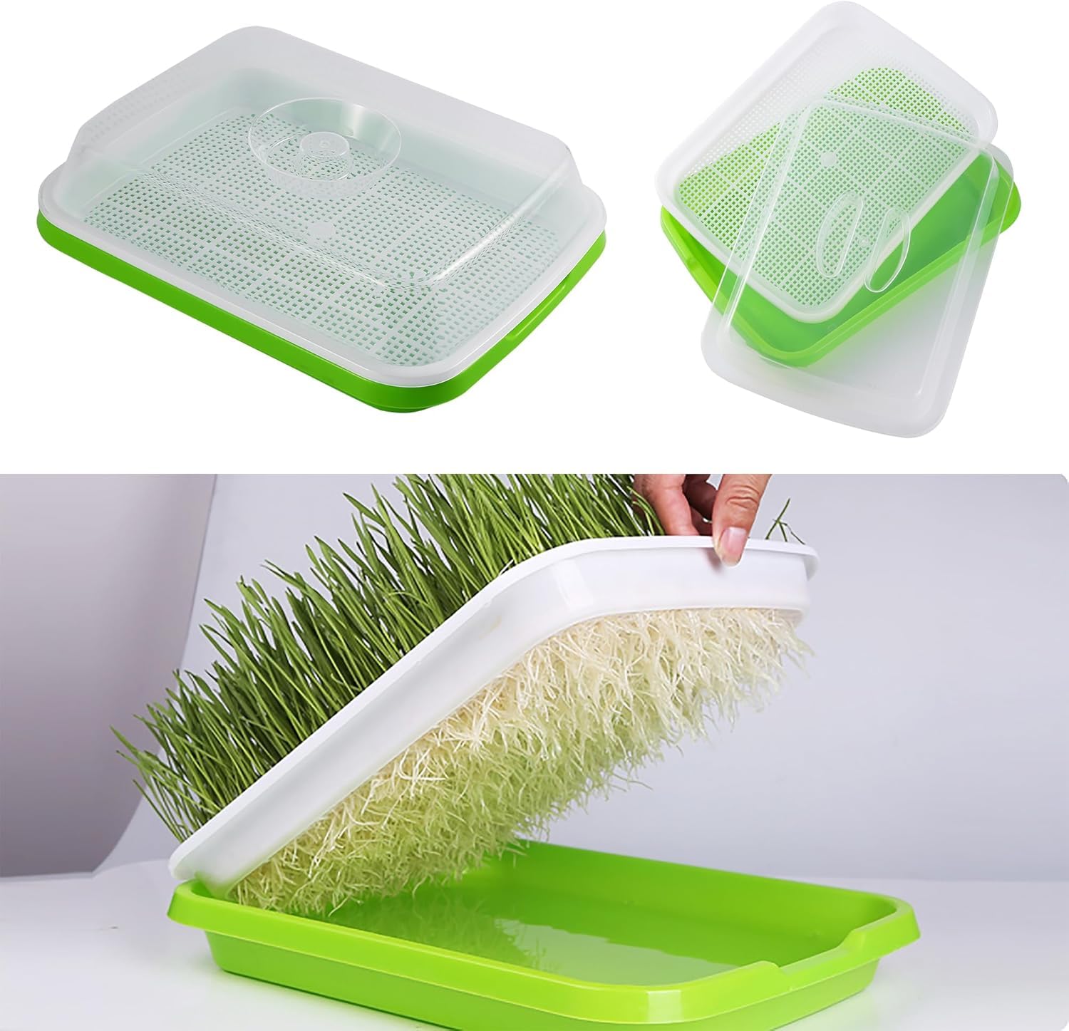 Plateau de germination de graines pour semis de blé et herbe - Pot de culture sans sol pour germination des graines - Gris foncé moyen