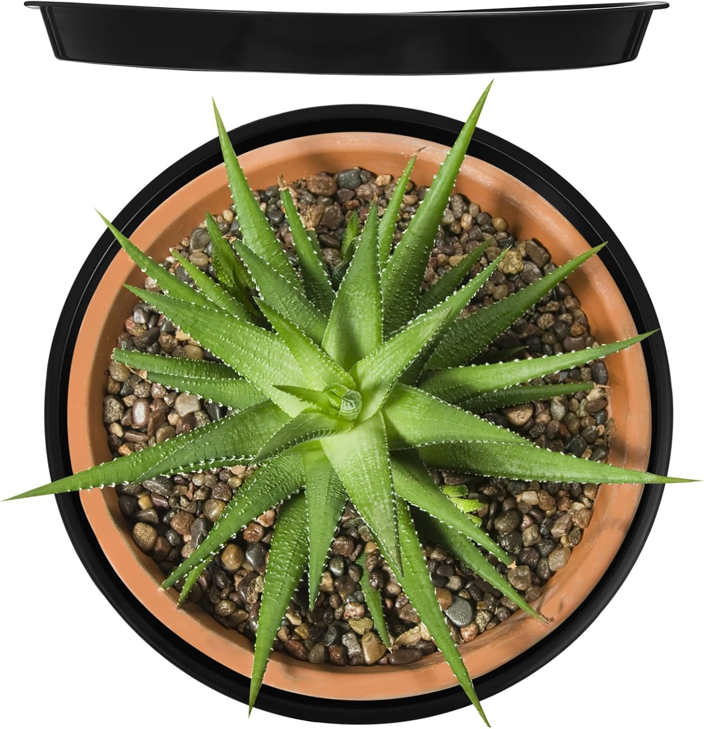 10 Pcs Plastic Plant Pot Trays Floral Saucers Raised Edges Garden Plant Pot Trays Home Decor