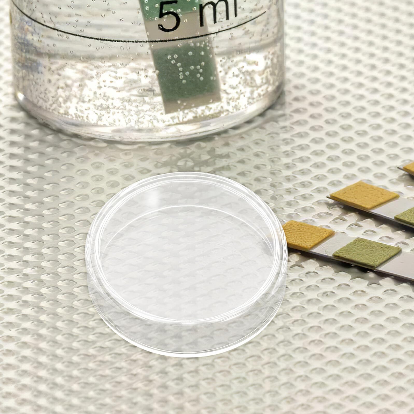 POPETPOP Piastre Petri in Vetro 90Mm 10 Pezzi Coperchi Ventilati per Esperimenti di Laboratorio e Studi Micologici di Alta Trasparenza Ottica