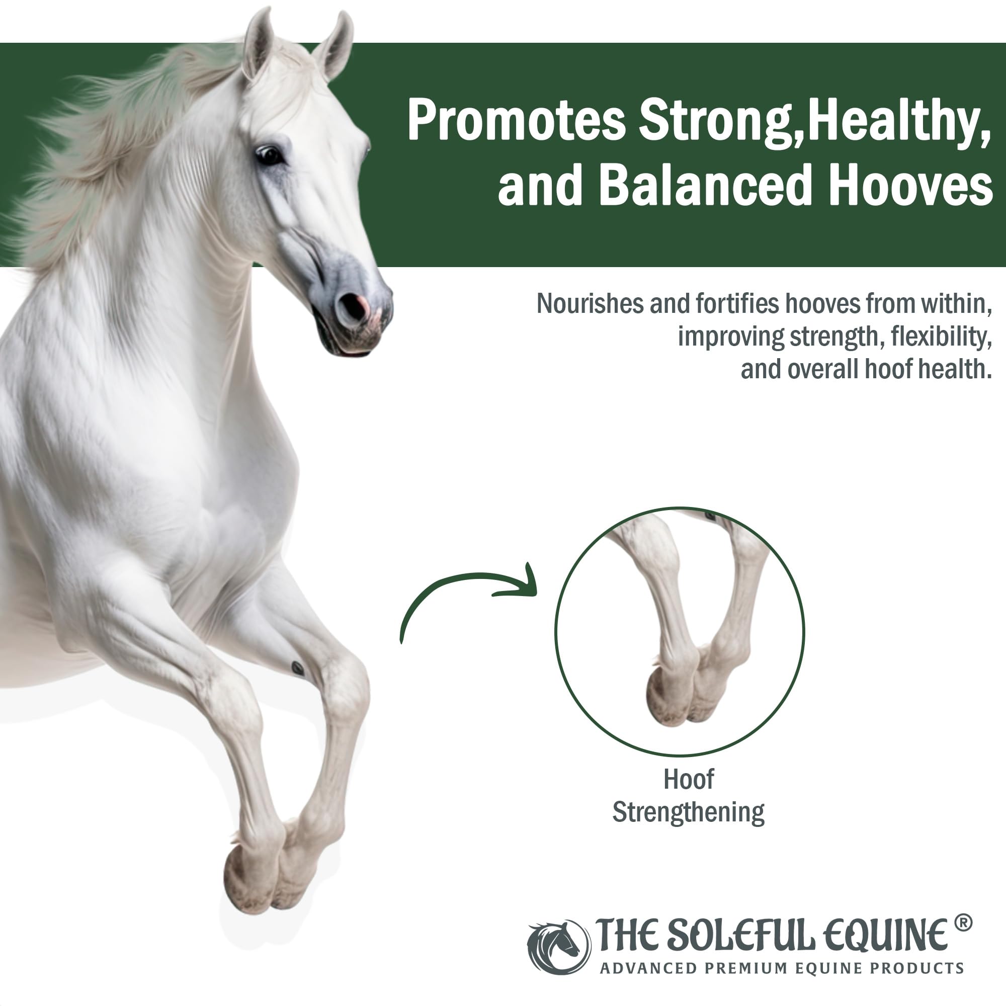 The Soleful Equine Hoof Oil, Horse Hoof White Line, Thrush, Abscesses, Overall Hoof Strength, Growth, Hoof Conditioning Rehydration. Certified Organic - Professionally Designed and Developed - image 6