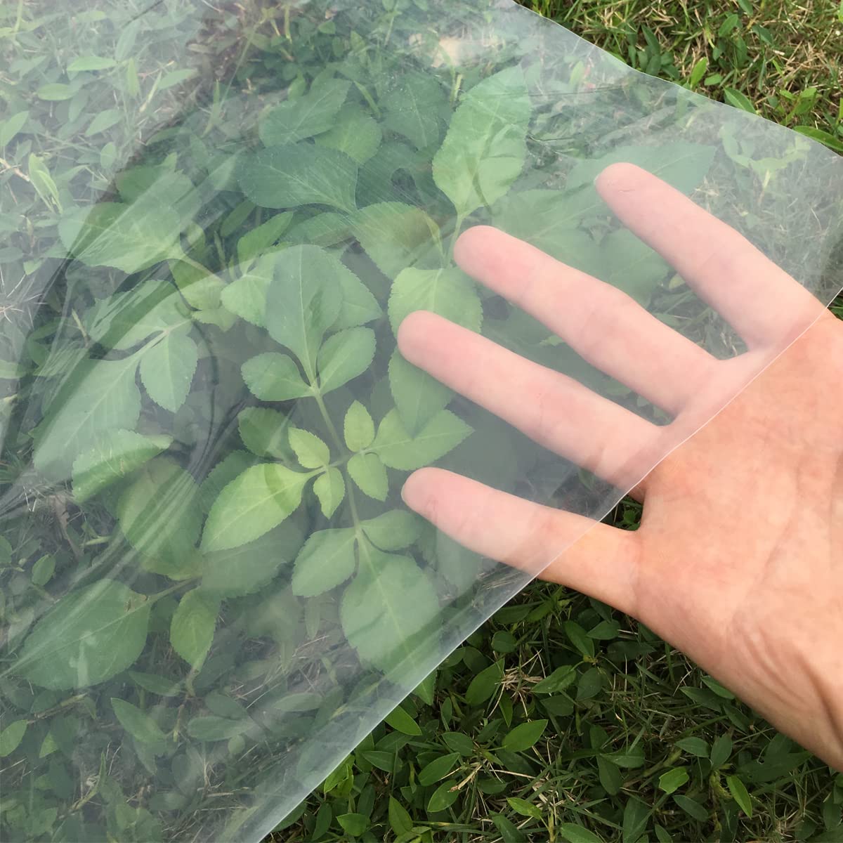 Heavy Duty 100Micron Thick Waterproof Polythene Sheeting 6x8m Clear Plastic Cover for Greenhouse Polytunnel Farming and Painting Resistant to Dust and Floor Protection