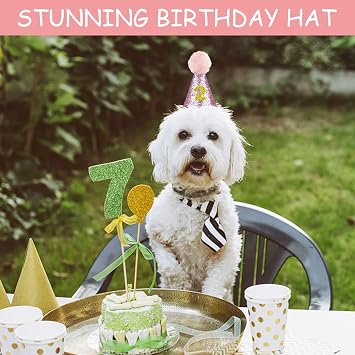 Dog Birthday Hat, Reusable Dog Cat Party Hat with Bow Tie Collar and Blue Number for Pet Puppy Cat Birthday Party Decorations, Pet Costumes Headwear Accessories (Pink)