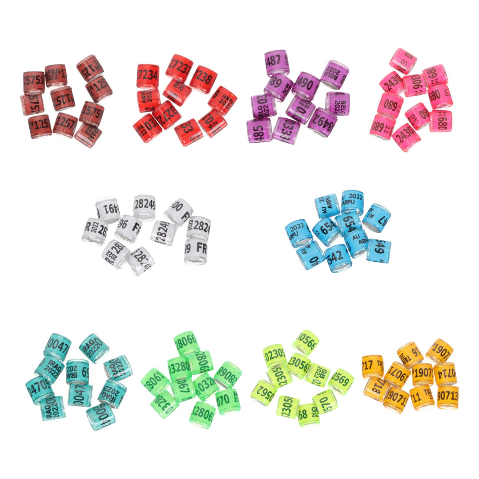 minkissy 300piezas Anillas De Identificación para De Anillas De Coloridas para Aves De Usar y Almacenar para Entrenamiento y Gestión De Aves Domésticas
