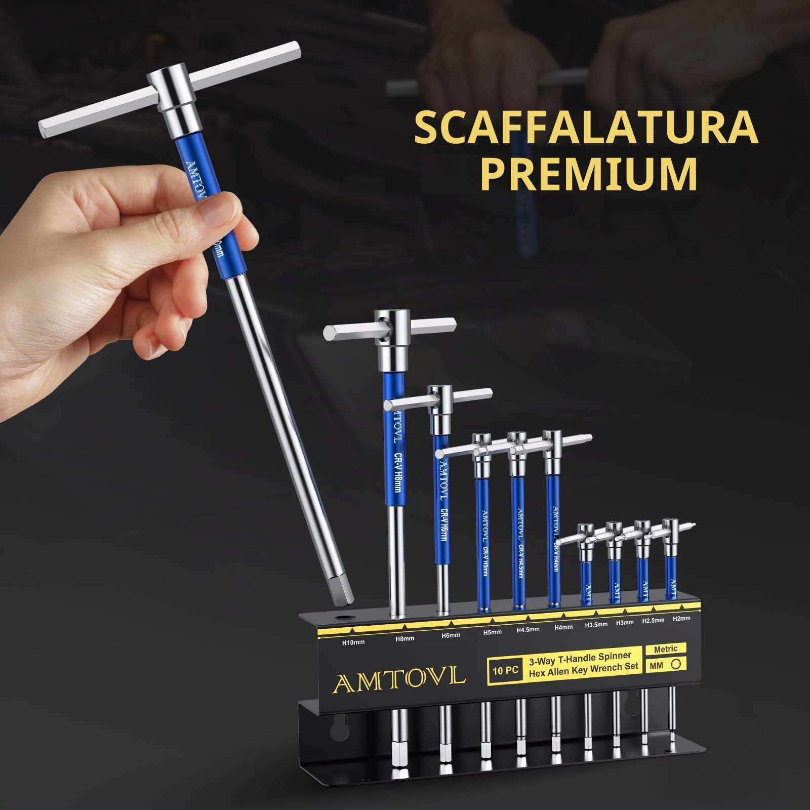 AMTOVL 10 Pezzi Chiavi a Brugola con Impugnatura a T 2-10 mm T Handle Chiavi Esagonali Maniglia a Rotazione Rapida con Ripiano di Stoccaggio Strumento di Cacciavite, Materiale CRV Cromato (Blu)