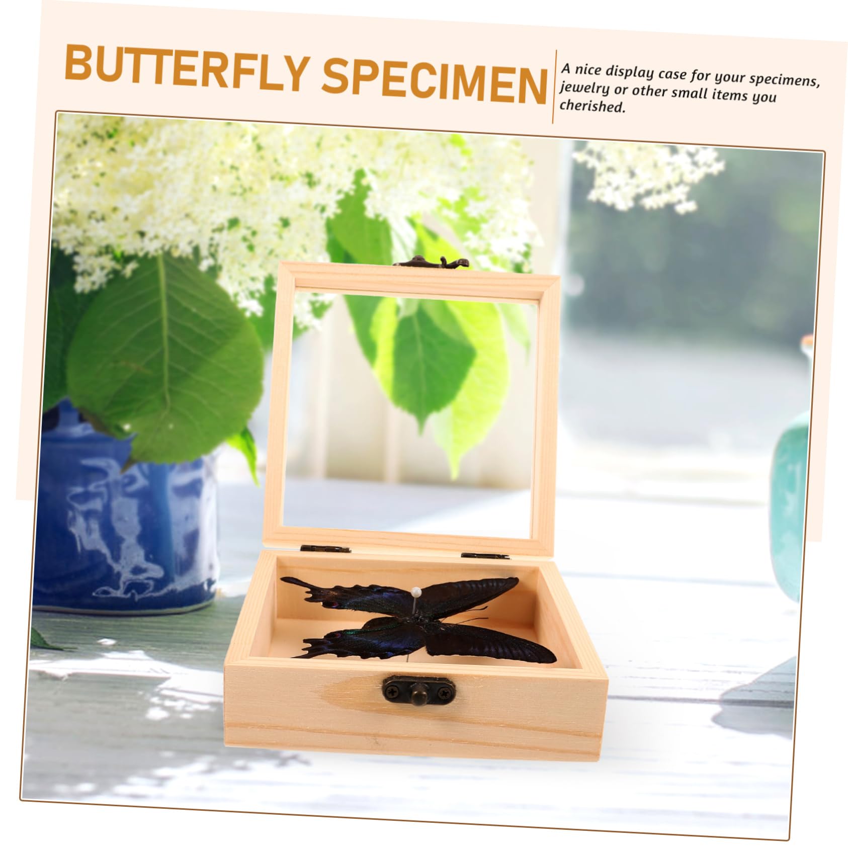 Cabilock 1 Set Home Decoration Handmade Specimen Butterfly Specimen Office Specimen Butterfly Display Case Butterfly Wall Art Framed Butterfly Wall Hanging Specimen Insect Pendant Plastic