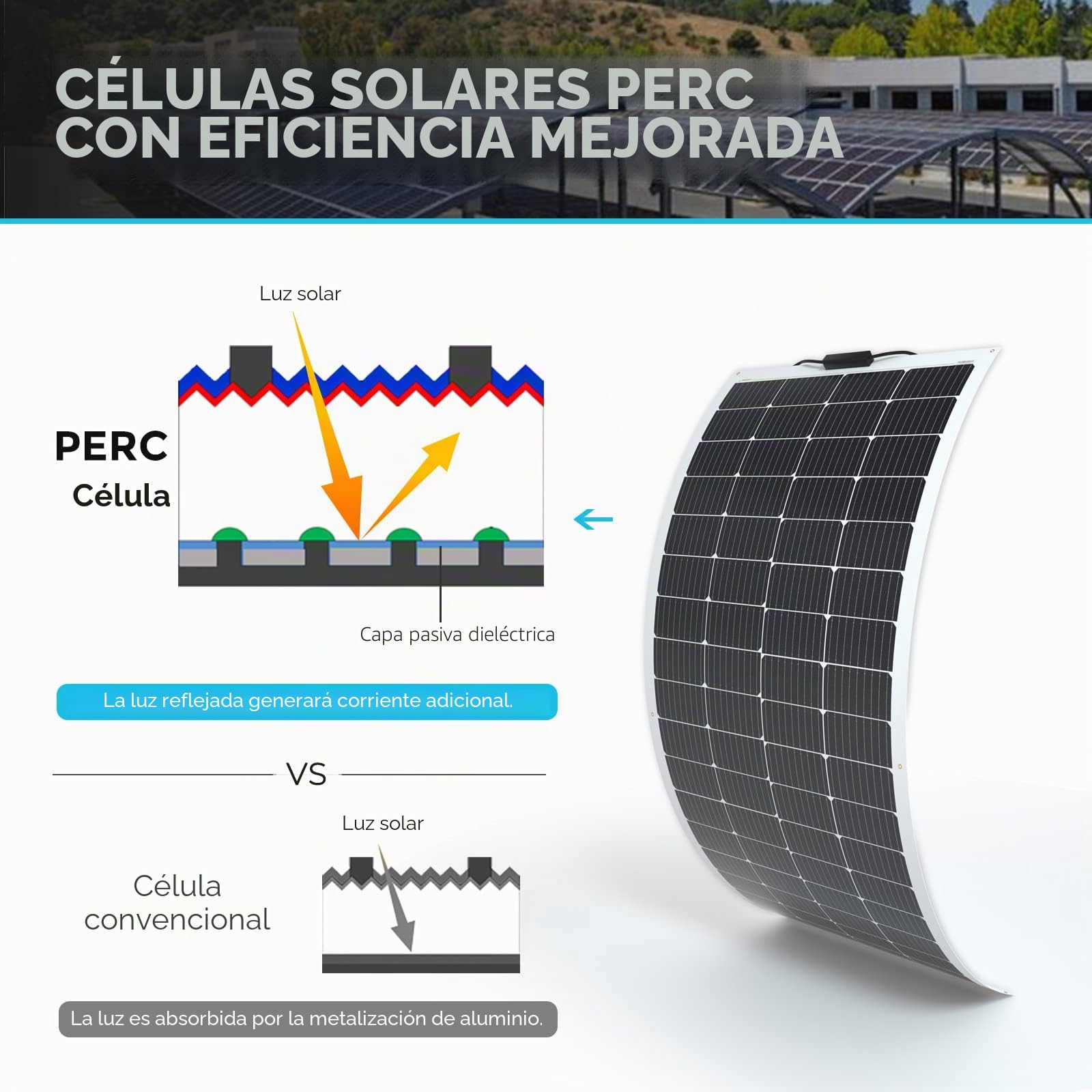 Renogy 200 W 12 V Panel solar flexible Módulo solar monocristalino de silicio Célula solar fotovoltaica Fuera de la red para baterías de 12 V Autocaravanas Camping Caravanas Barcos