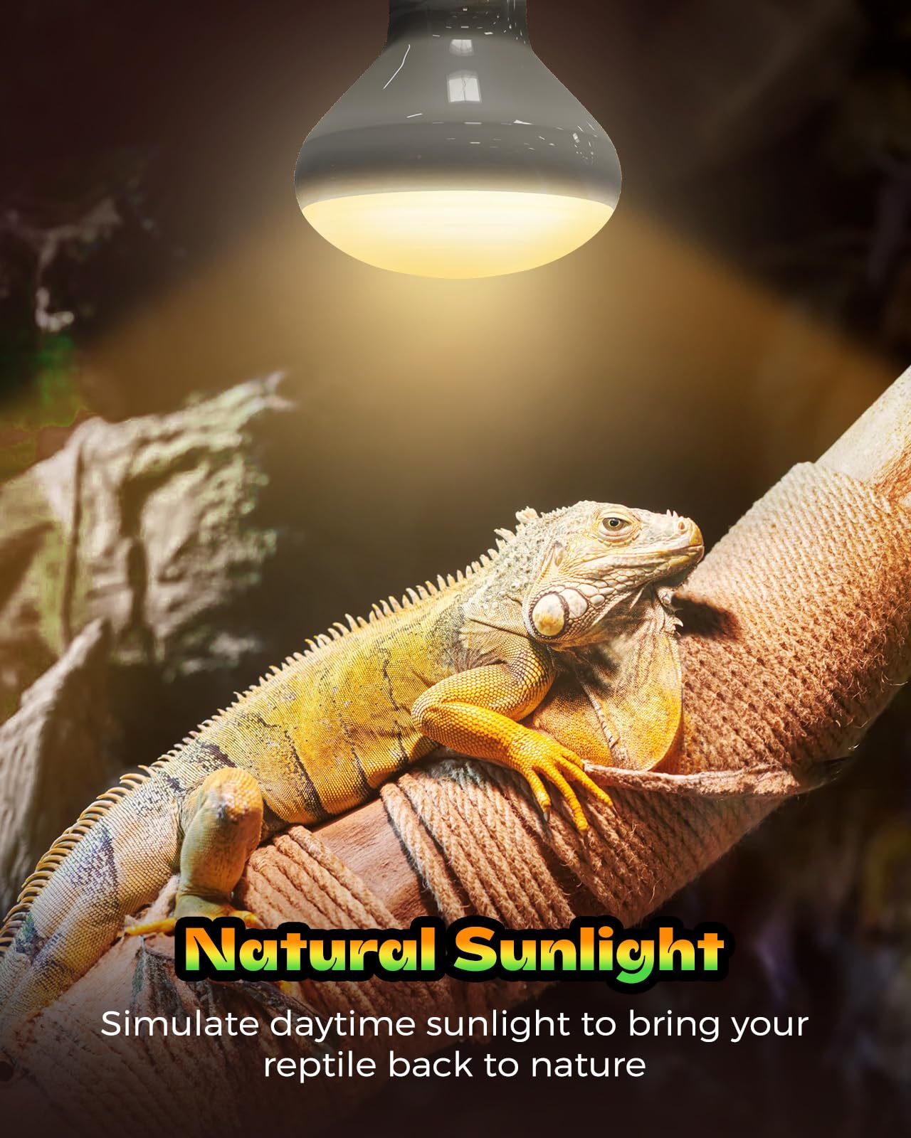 Reptile Heat Lamp 2 Pack, Heat Lamp Bulbs for Reptiles, Amphibians Basking Heat Lamp Bulbs, UVA Daylight Basking Light for Reptiles, Turtle, Bearded Dragon, Lizard Heating - 3