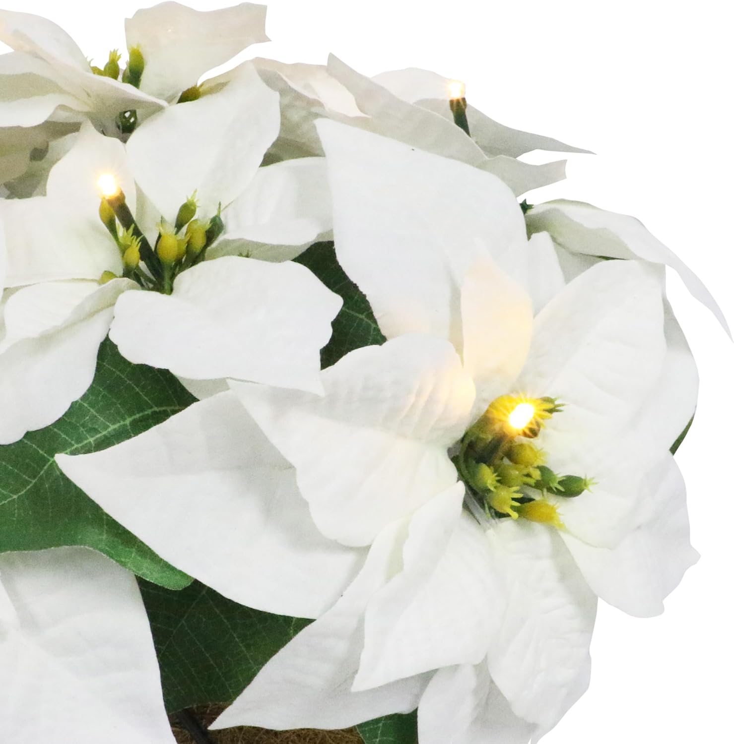 Puleo International 19" Pre-Lit Battery-Operated Artificial Potted White Poinsettias