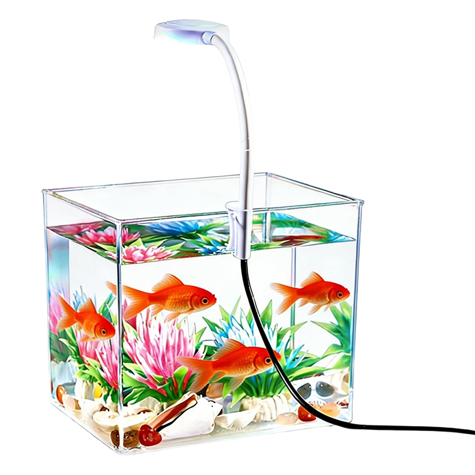 Mini Acquario, con a Clip, Base Trasparente Antiscivolo, Acquario da Tavolo per Pesci Betta, per Casa Camera da Soggiorno Appartamento Adulti e Bambini Acquariofilia Visione