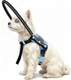 LetPetRun Adjustable Blind Dog Halo Harness, Protective Collar & Guiding Device, Safe and Confident Navigation Guiding Aid for Visually Impaired Pets(7.5-9.5in)