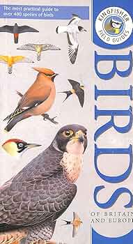 送込★FIELD GUIDE TO THE ANIMALS OF BRITAIN 285980.jpg