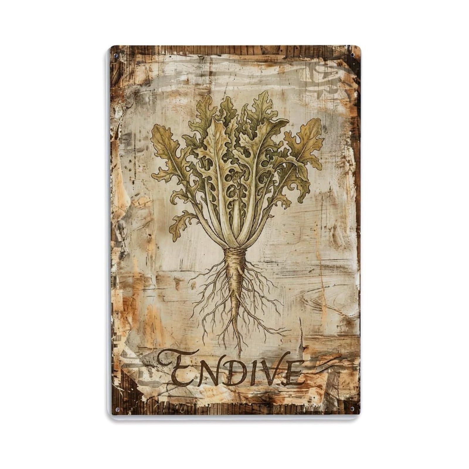 Fqnyr Style Endive Leafy Vegetable 1 Metal Tin Sign Plaque Wall Decor For Cafe, Club Bar, Office, Home Garden Metal Poster 8X12inch