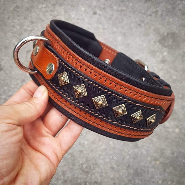 Foto 2 de 6 de Bestia '' Balteus '' Collar de Perro con Tachuelas de Cuero