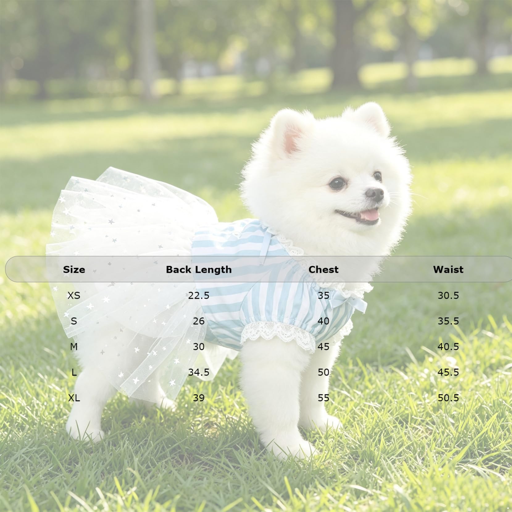 Yartina Vestito per cani di piccola taglia, in tulle, a righe, con stelle, blu, taglia S