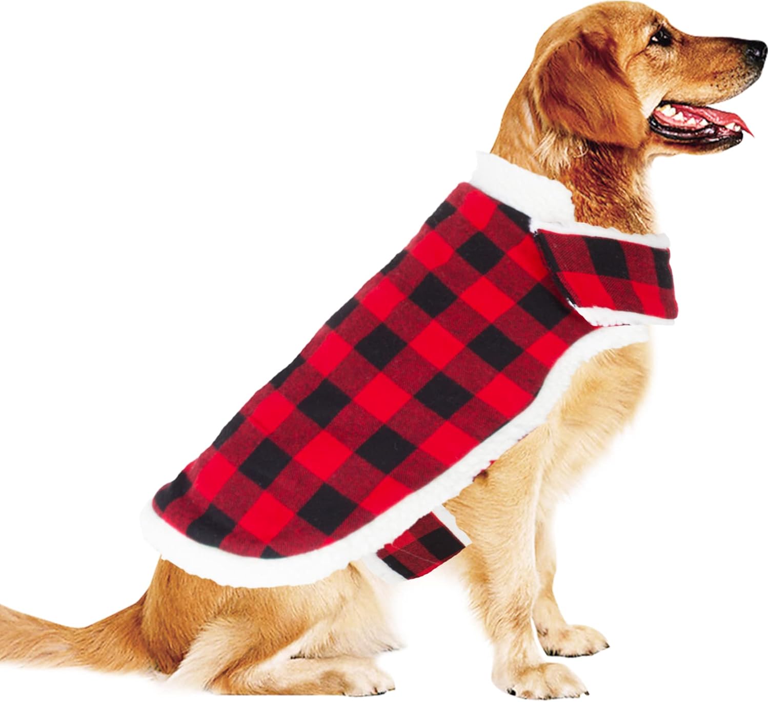 dog christmas jacket