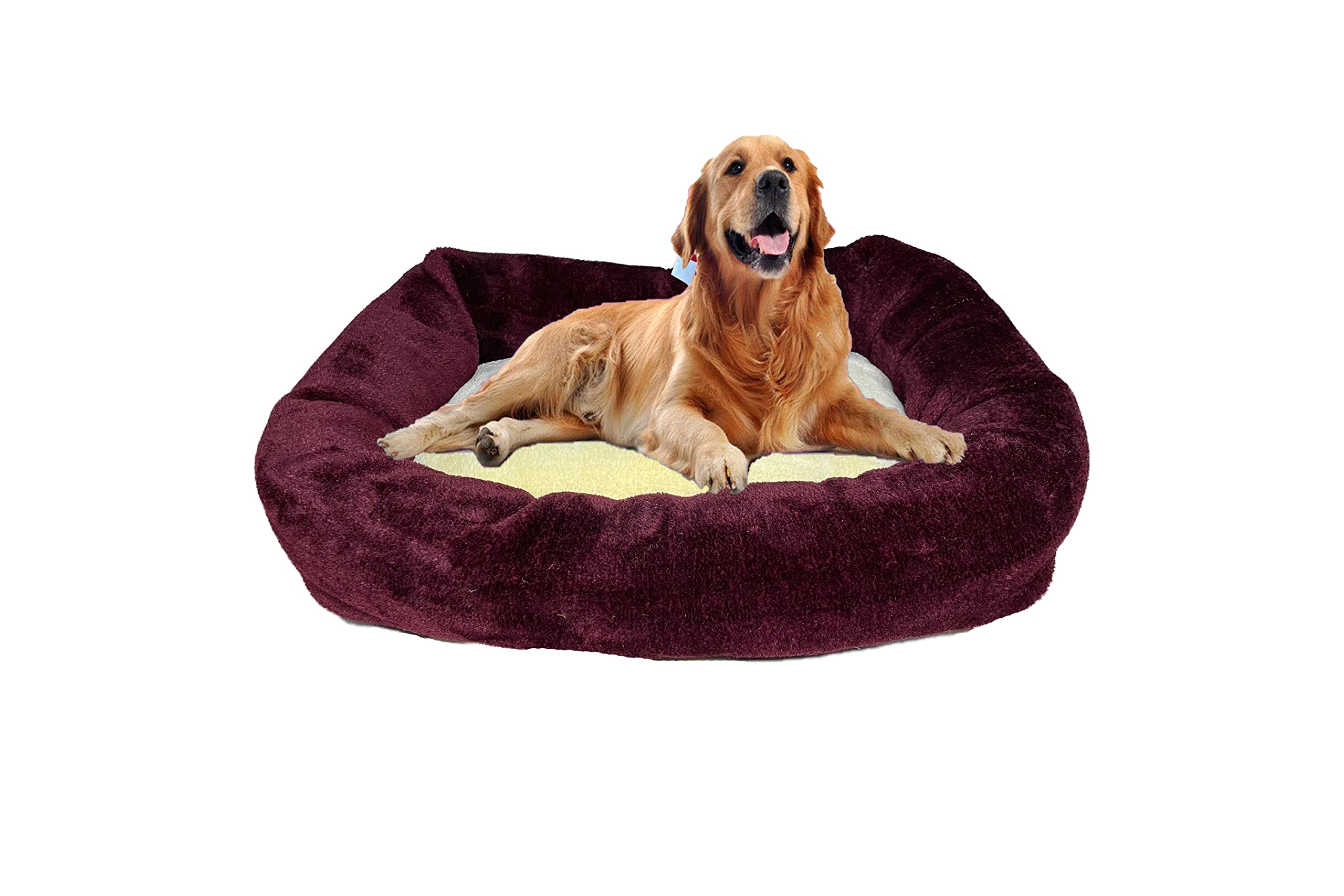 Poofy's Pet Island Dog & Cat Bed Large Size Dual Color Cream Brown  Recteangle Shape Mink Fabric Ultrasoft Micro Fiber Filling for Extra  Comfort, Cream-Brown : Amazon.in: Pet Supplies