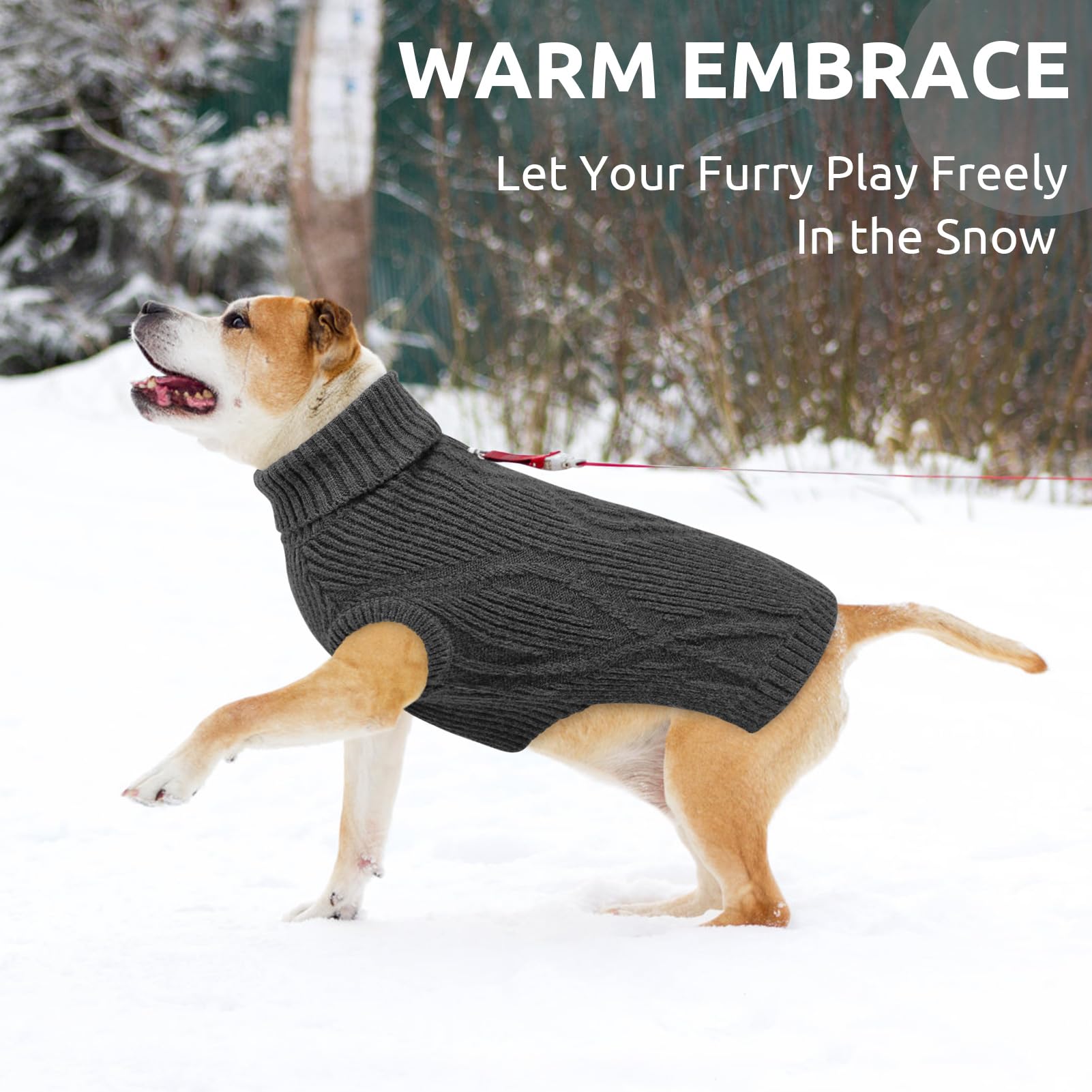 Queenmore Hundepullover mittelgroße Hunde, warm und bequem, Stretch Strickpullover für Dackel, Bichon Frisé, Mops, Jack Russell Terrier, Greyhound, Boston Terrier (Grau, M)