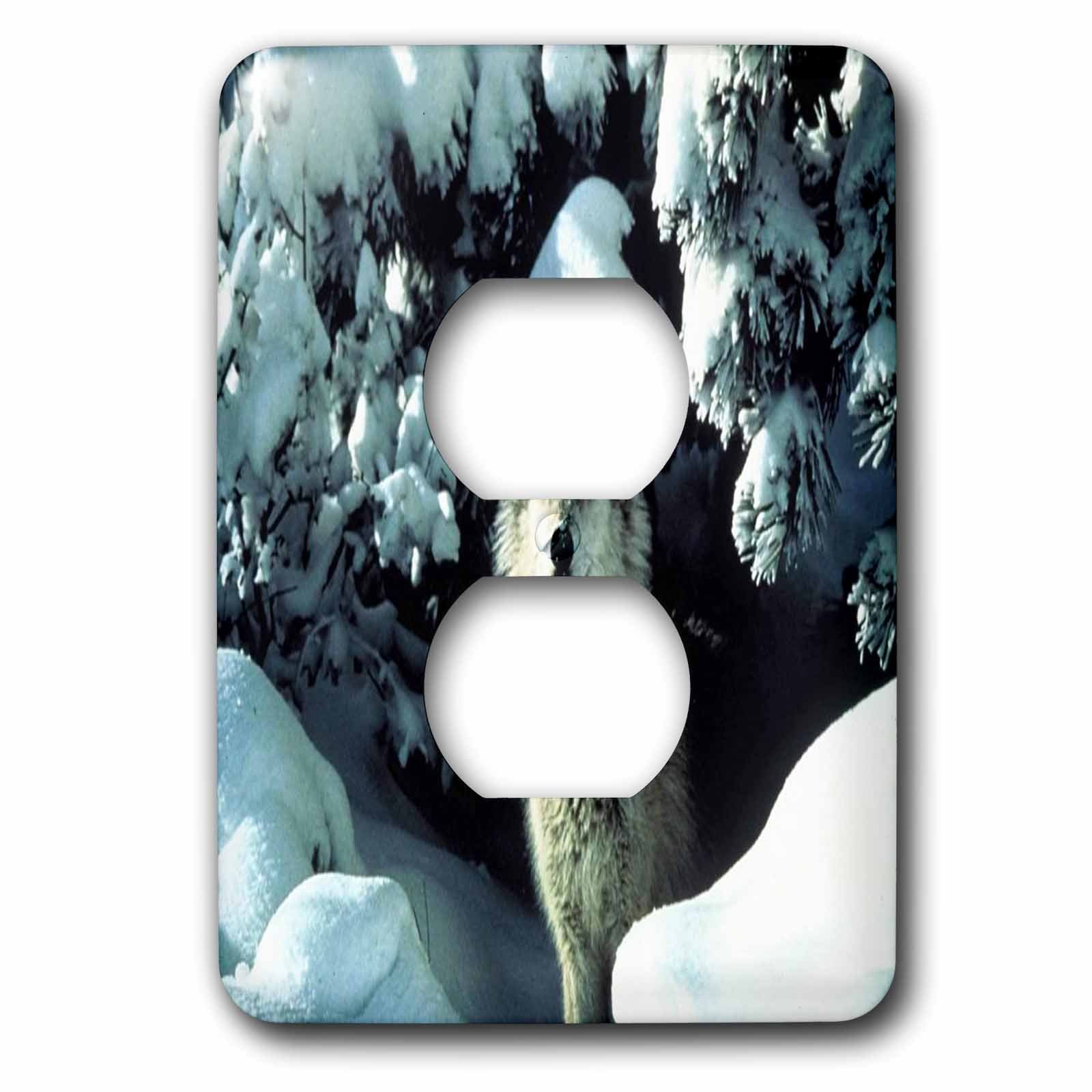 Placa interruptor con lobo en la nieve decorativa y resistente para doble toma