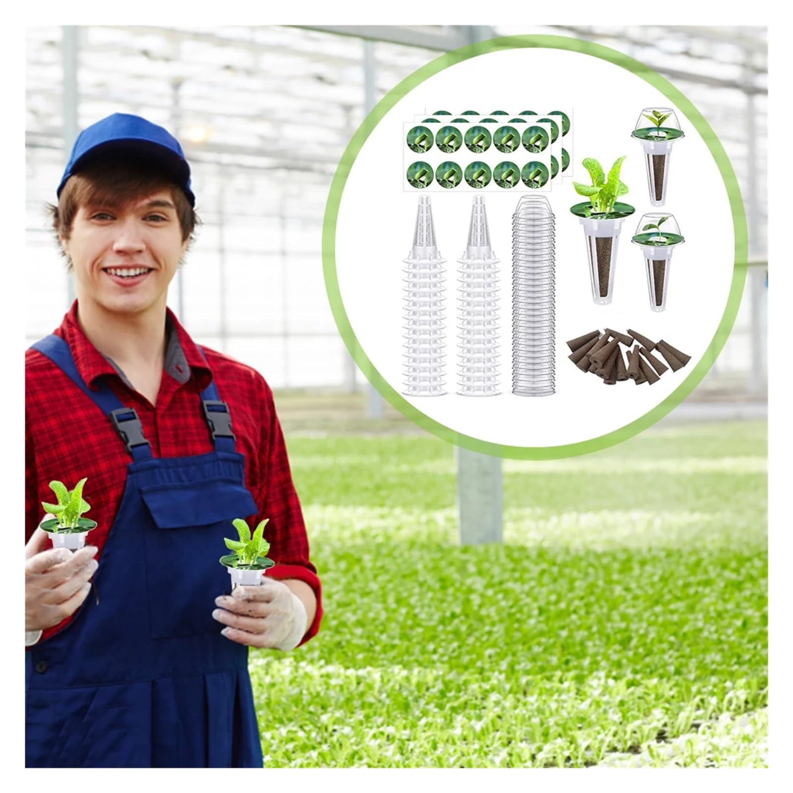 Cubi di lana di roccia Kit di baccelli di semenzaio for piantine agricole trasparenti for sistema di coltivazione in serra Piante da interno for esterni Forniture idroponica per serre per una crescita