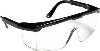 Cordova EJB10 Retriever Black Frame, Clear Anti-Fog Lens With Integrated Side Shields, Adjustable Temples