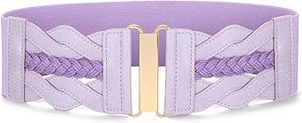 SANSTHS Vintage Stretchy Belt for Women, Womens Wide Elastic Belts for Dresses Coats, Fashion Womens Belts with Gold Buckle