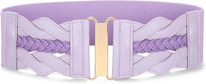SANSTHS Vintage Stretchy Belt for Women, Womens Wide Elastic Belts for Dresses Coats, Fashion Womens Belts with Gold Buckle