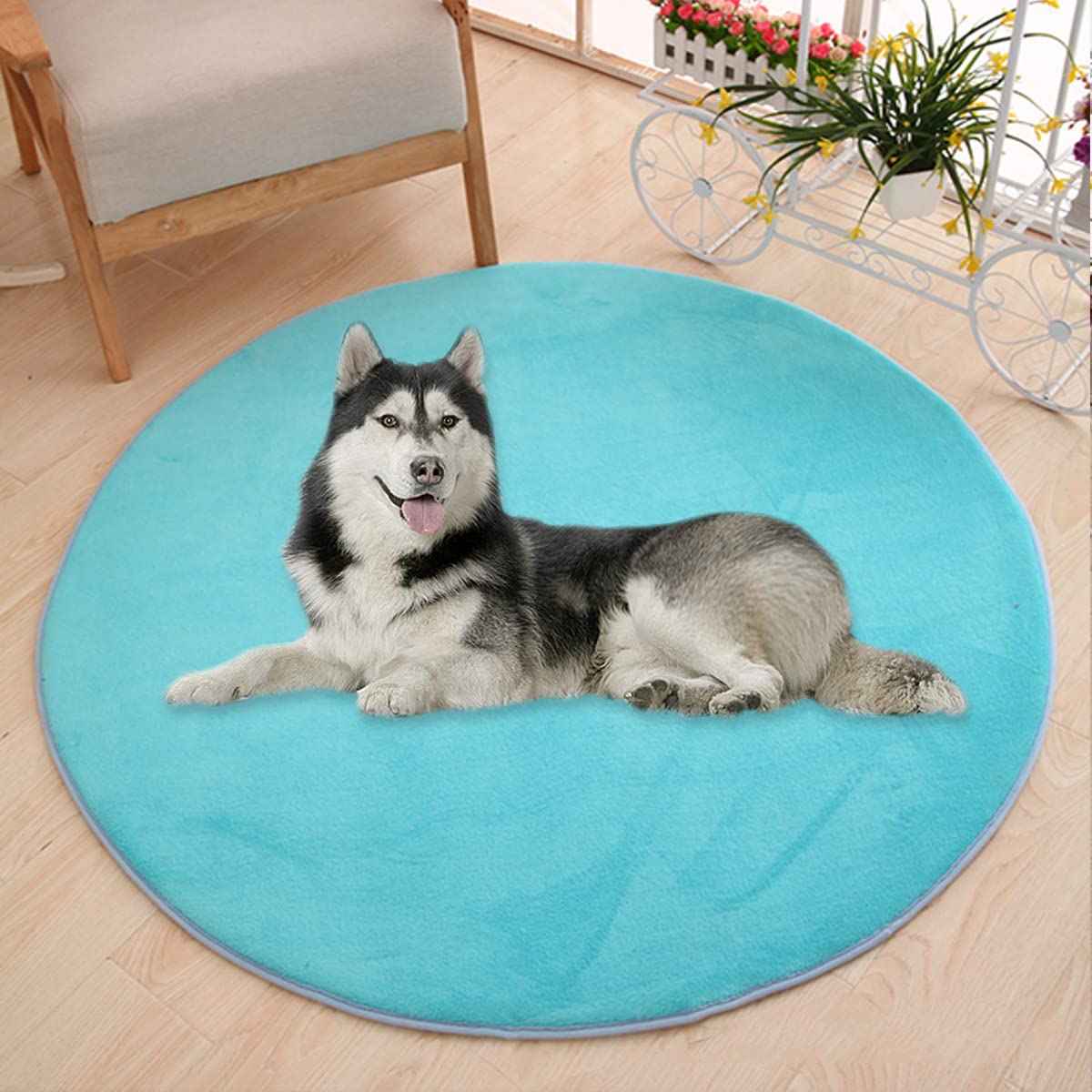 Waigg Kii Large Dog Bed Mat,Coral Velvet Soft Round Carpet Area Rug Pet Mat,Anti-Anxiety Dog Mattress for Small Medium Large Cats Dogs (160CM,Blue)
