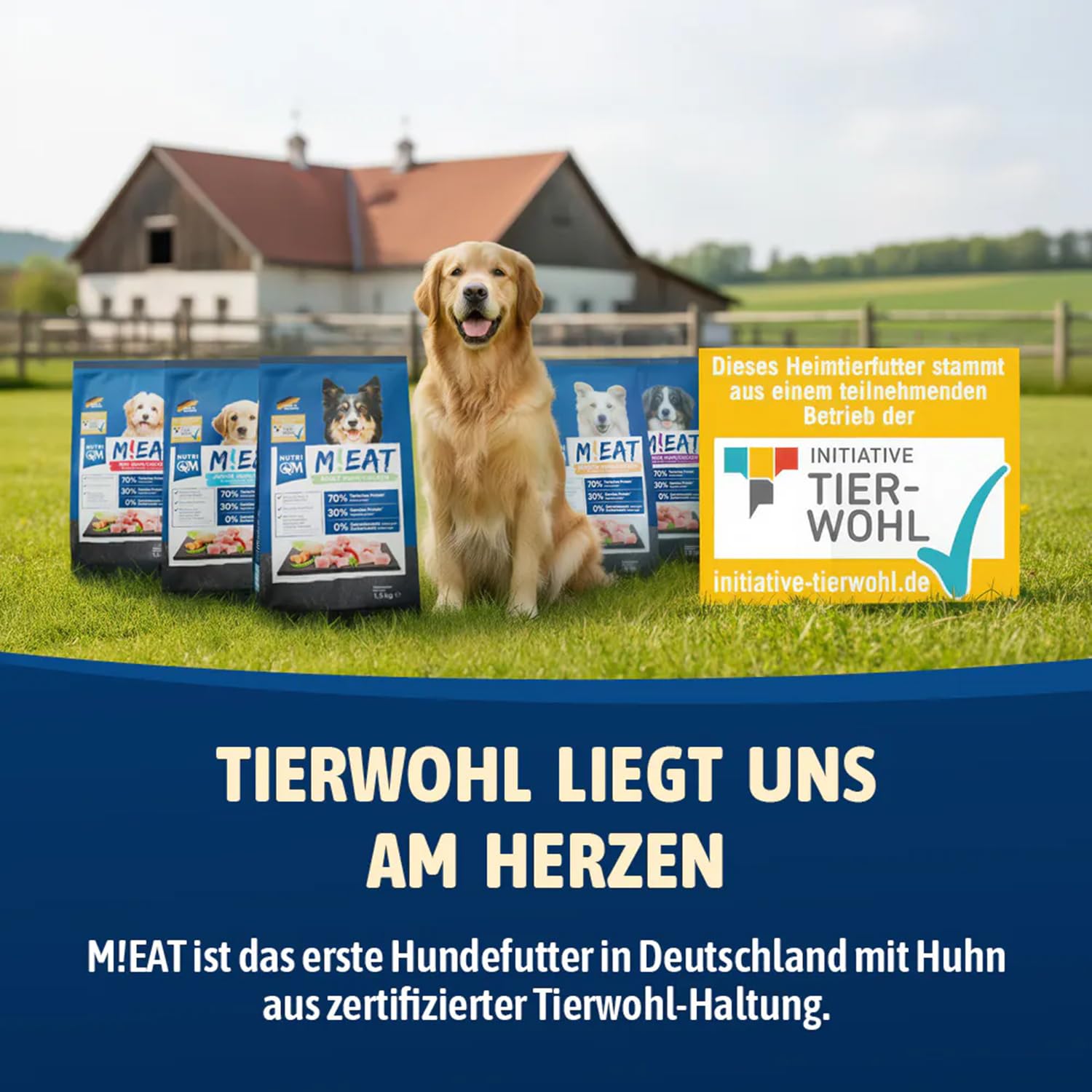 NutriQM® Sensitiv Trockenfutter Getreidefrei | 12 kg | Monoprotein Huhn 70% | Hundefutter Trocken Sensitiv für empfindliche Hunde | Ohne Zusatzstoffe | Mit Omega 3 aus Lachsöl | Made in Germany