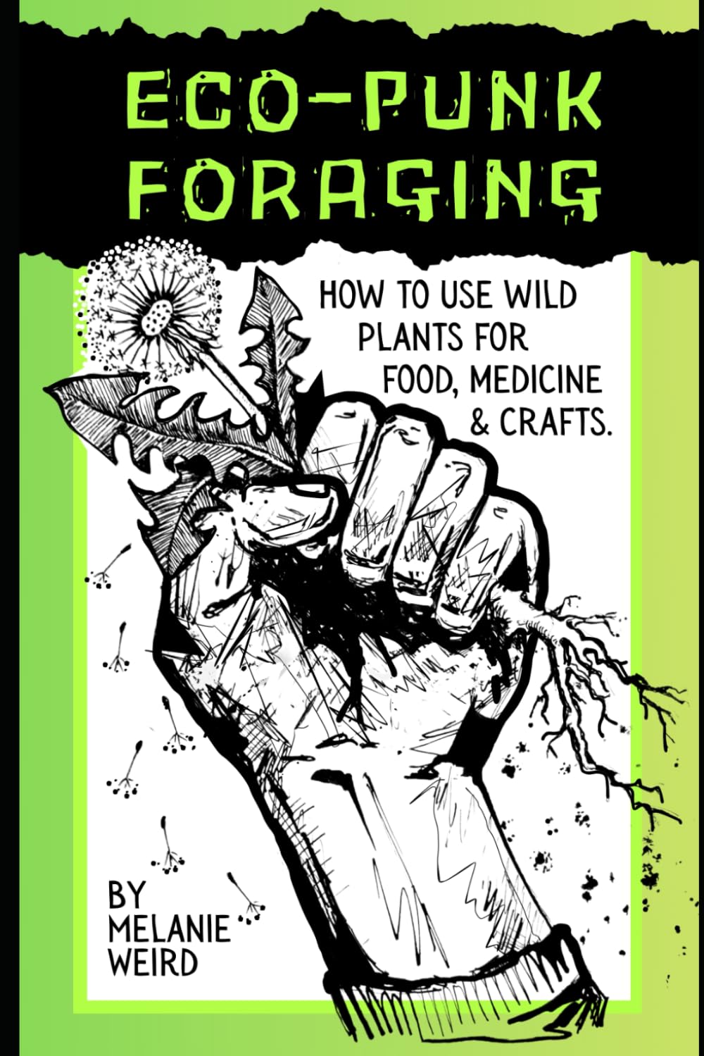 Eco-Punk Foraging: How to use wild plants for food, medicine and crafts